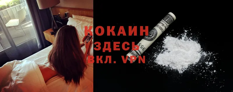 купить   Ипатово  Cocaine 99% 